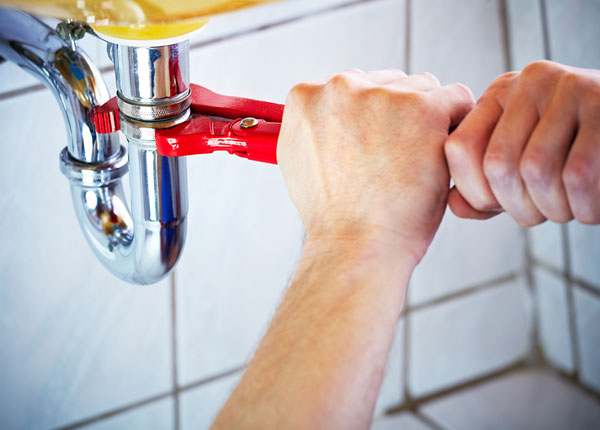 About Mollusk Plumbers
